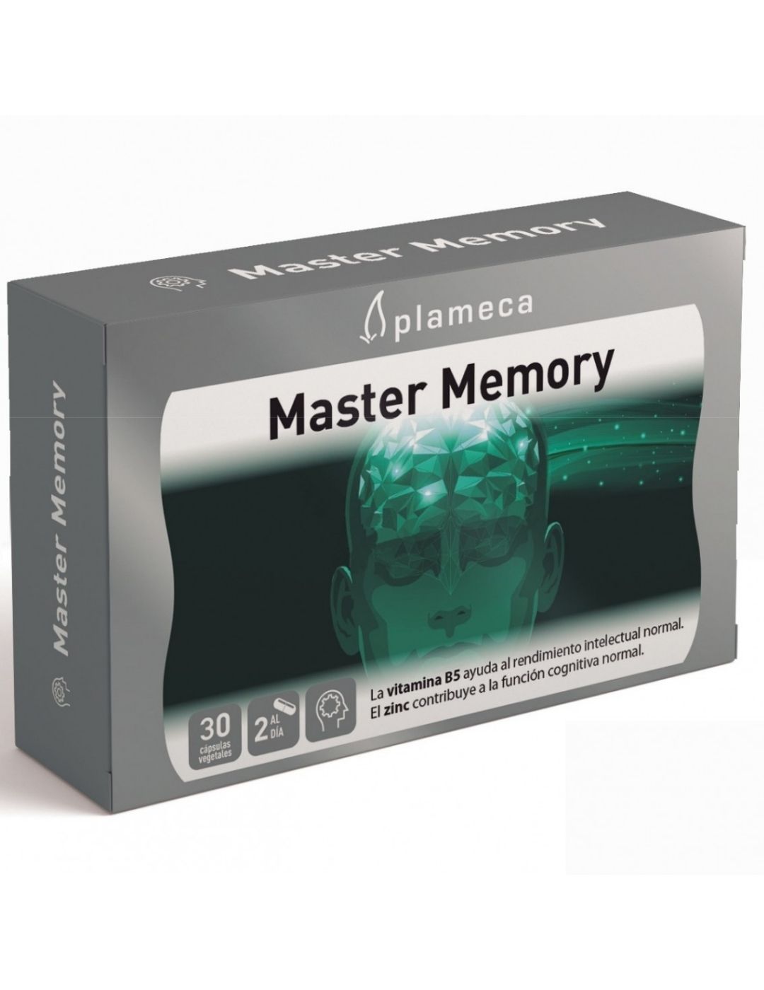 Master memory plameca